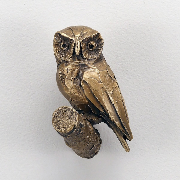 Eulen Kleiderhaken aus Bronze: Detailreiche Skulptur, künstlerisches Wohndekor