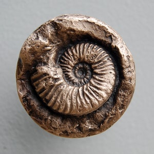 Könnte beinhalten: Bronze-farbenes, kreisförmiges Dekorationsobjekt mit detailliertem Ammoniten-Fossil-Design. Das Spiralmuster des Fossils ist prominent, eingebettet in einen strukturierten, verwitterten Rand. Ein einzigartiges, natürlich-thematisches Dekorationsobjekt.
