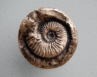 Patère en bronze avec ammonite : décoration murale préhistorique, cadeau dinosaure