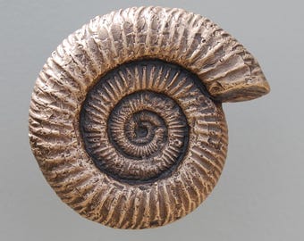 Patère en bronze avec ammonite : suspension murale fossile préhistorique