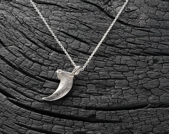 シルバーのハクトウワシの爪ペンダント - Etsy 日本