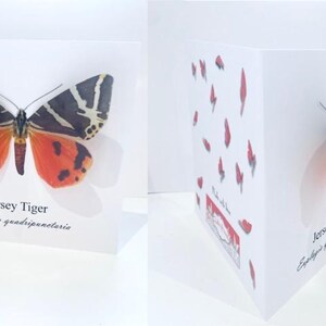 Carte de vœux papillon 3d Jersey Tiger.Personnalisée.Fabriqué à la main.Carte papillon Red Admiral personnalisée. 40e, 50e, 60e, 70e, 80e, 90e anniversaire