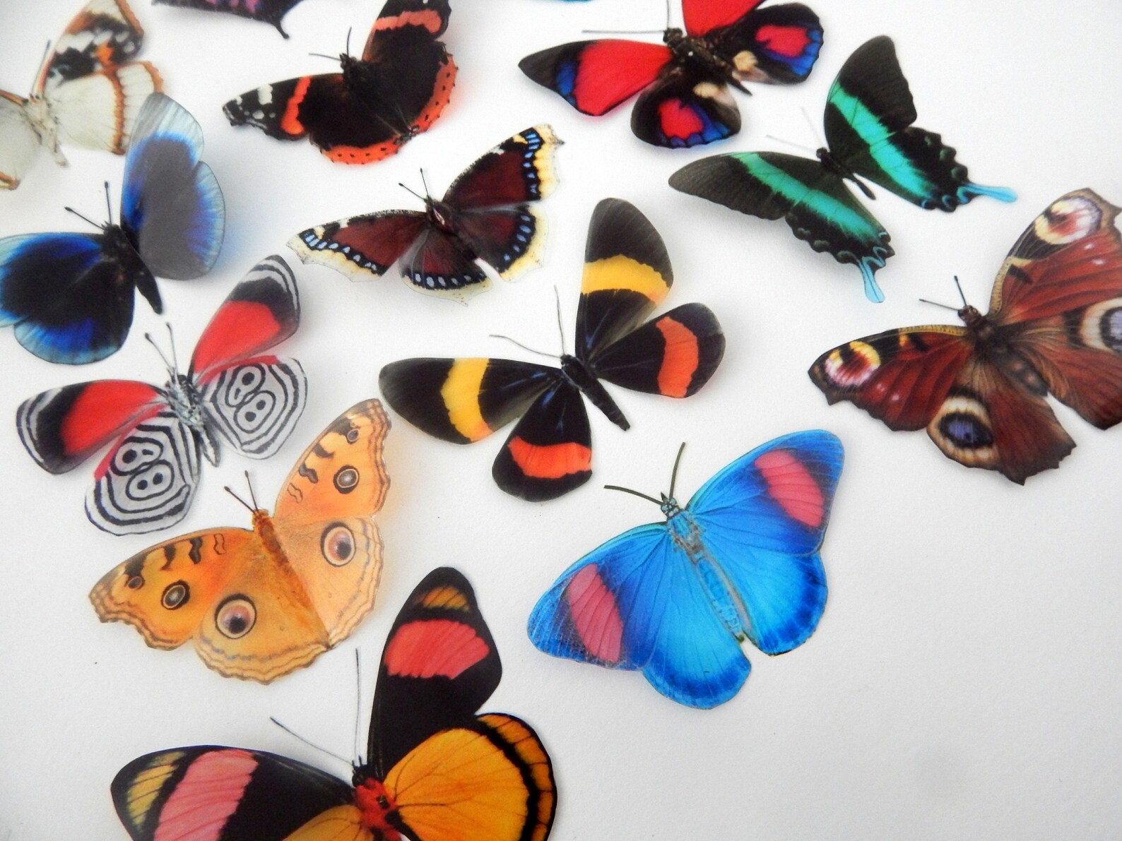 Decorative Butterflies Set of Rustic Natural Mix of | Etsy