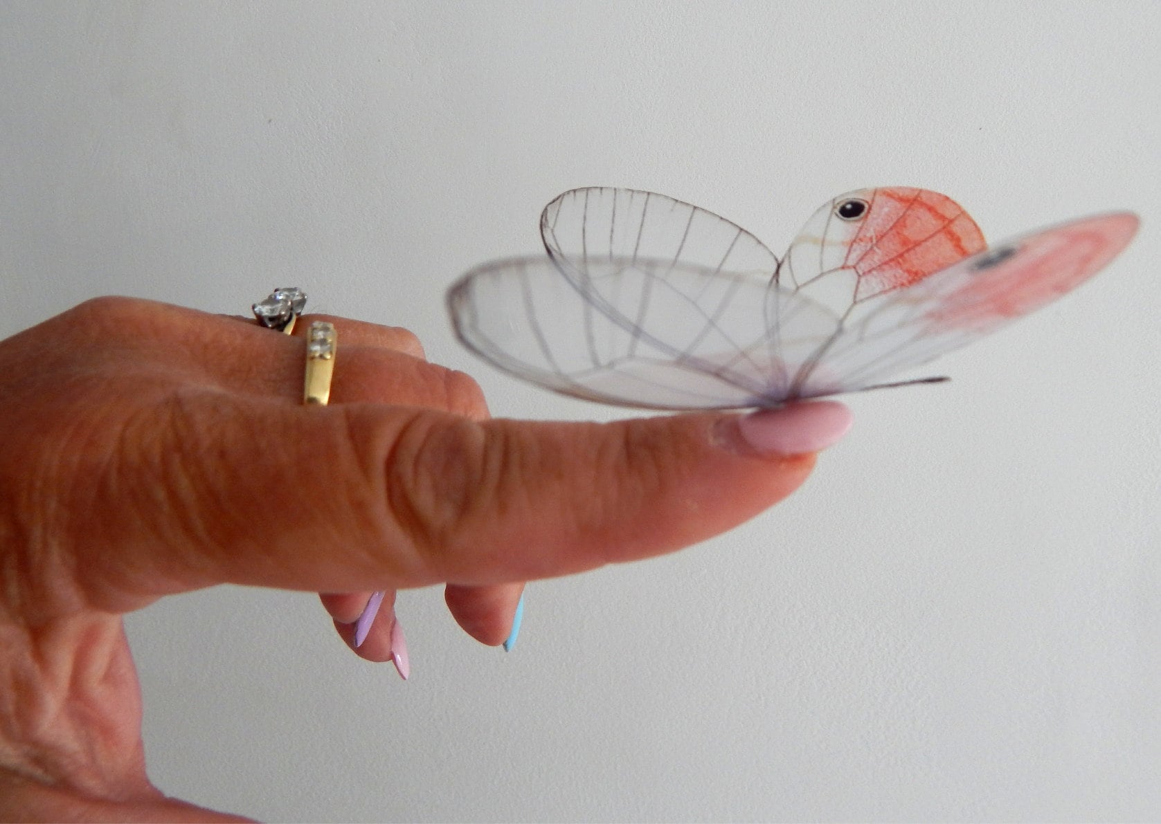 Glass Winged Natural 3d Butterflies Transparent Butterfly Stickers