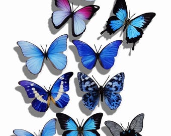 Blue 3D Butterfly Stickers, Natural Home Decor, Set of 8