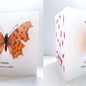 Mariposa de coma, tarjeta de felicitación de mariposa 3d. Personalizado. Hecho a mano. Realista. Blue Pea, colección de mariposas, mejora, cumpleaños, etc.