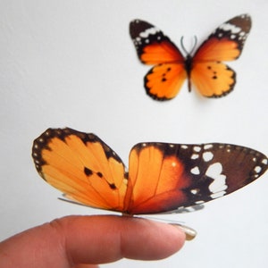 6 Orange Luxus Wahrlich schöne Schmetterlinge. 3D Schmetterling Wandkunst. Orange Dekor, innen oder außen Home Decor Wandkunst