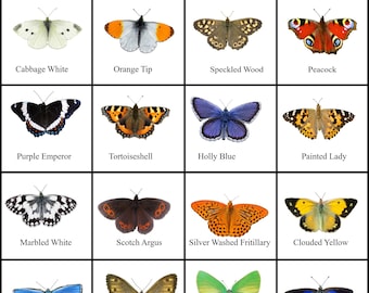Handmade British Butterfly Collection, Wall Decor, Set of 24