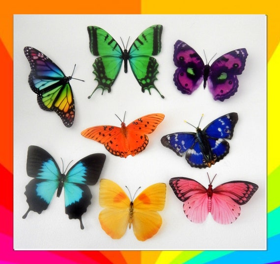 8 Bright, Colourful Butterflies From Our Colourful Collection. 3d Butterfly  Stickers. Great for Conservatories ,bedrooms. -  Denmark