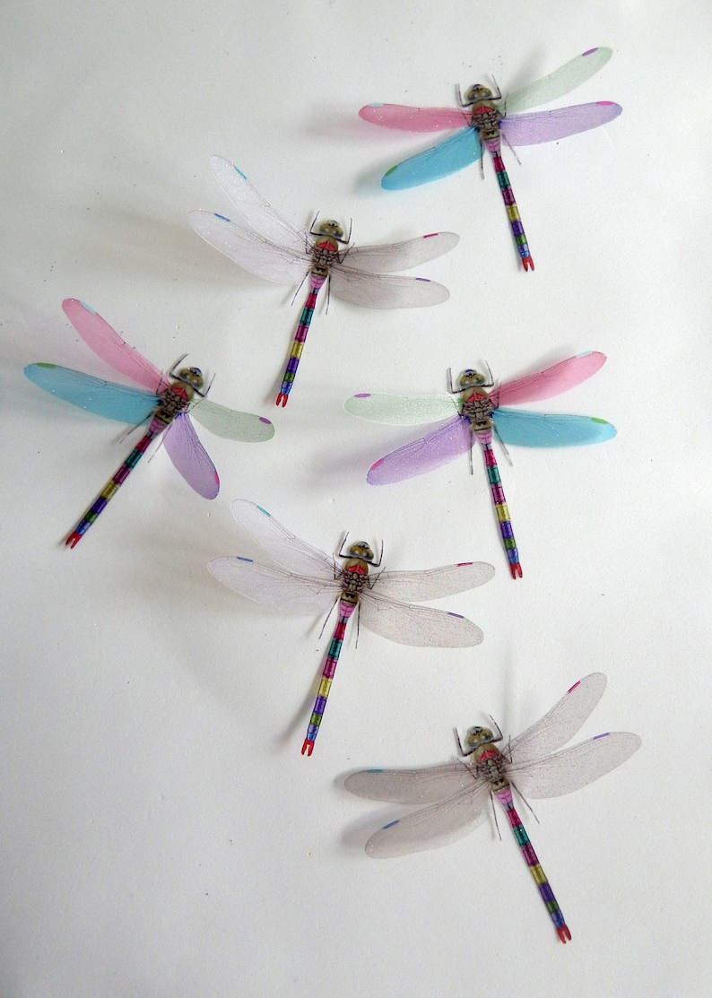 Dragonflies 6 Gorgeous Pastel 3D Wall Decals Girls Bedroom 3D Decorations NEW Dragonflies 6 Gorgeous Pastel 3D Wall Decals Girls Bedroom 3D Decorations NEW