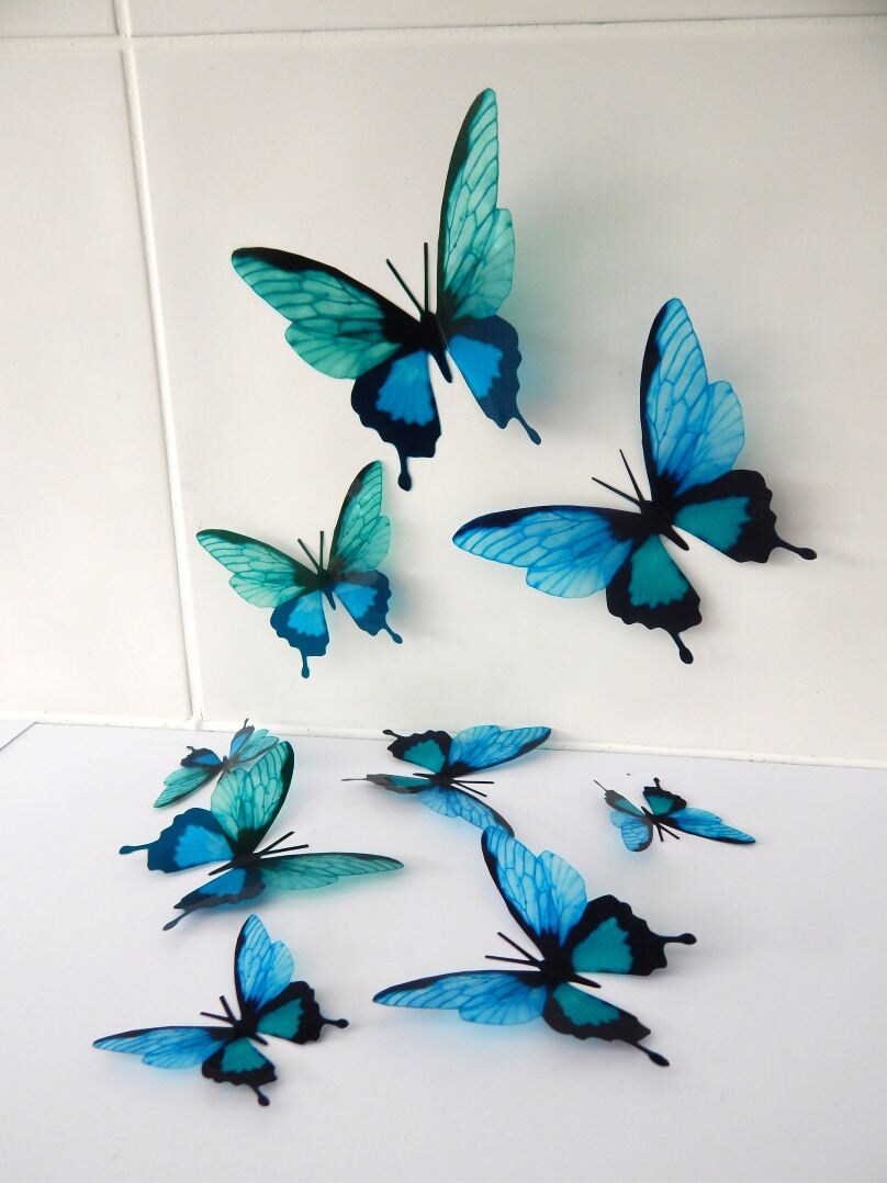 7 3d Teal colour butterflies. Great for lounge, hall, conservatory