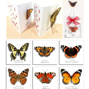 Cartes pop-up 3D papillon. Choix de 6 papillons britanniques ou achat par lot, idéal à accrocher au sapin de Noël.Fabriqué à la main.Noël