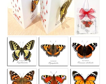 3D Butterfly Pop Up Card, British Butterflies, Handmade Note Cards