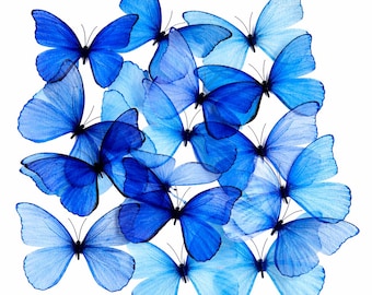 Set of 18 Blue Butterflies – 3D Translucent Wall Stickers, Bedroom Decor