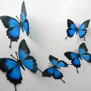 Black and blue reproduction luxury Butterfly 3d wall art decor, bathroom, flower pot, mirror, hallway, conservatory, windows, stickers image 5