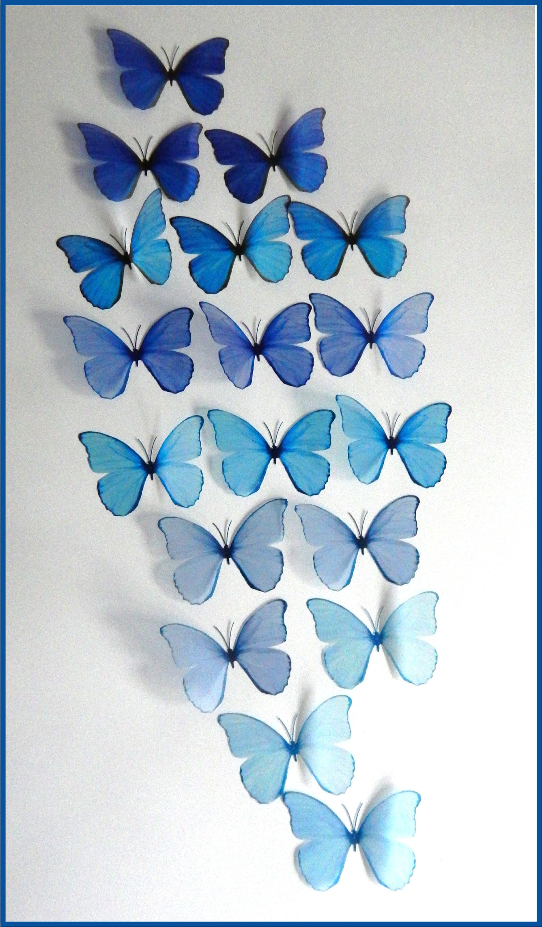 8 Natural 3D Butterflies, the Country Collection for Any Butterfly Lover  ,conservatory,wall Decor,3d Wall Decor,realistic Butterflies 