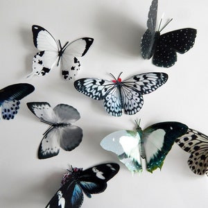 Black and white Natural reproduction 3d butterfly wall stickers,sun catcher,plant pots,walls,table decor,conservatory,windows,display