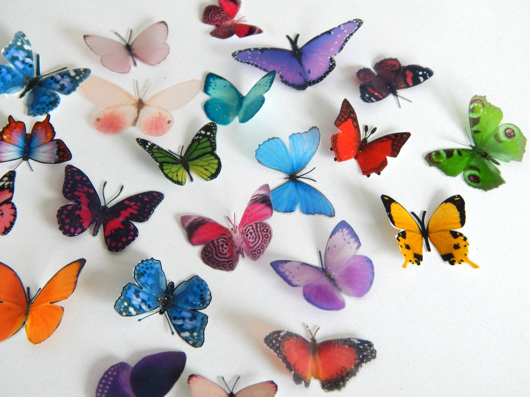 Miniature Butterflies for craft projects,decoration,embellishments,butterfly 3d stickers