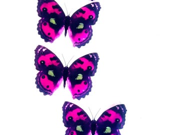 3D Pinky Purple Spotted Butterfly Wall Decor, Set of 6