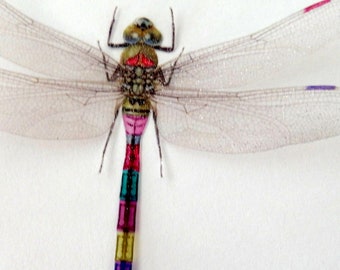 Dragonflies, very pretty 3d glitter wall stickers,for Home Accessories bedroom,garden, bedroom,living room,kitchen, Beautiful Dragonflies