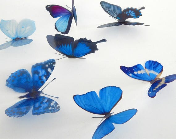Blue Natural Butterflies From Our Blue Collection. 3d Butterfly Stickers.great  for Conservatories,bathrooms,bedrooms 