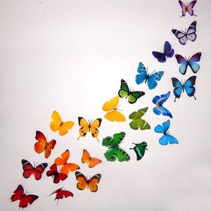 3d butterflies the Rainbow,multi-coloured collection, butterfly decor for the wall,conservatory, home,bedroom, lounge,window decorations