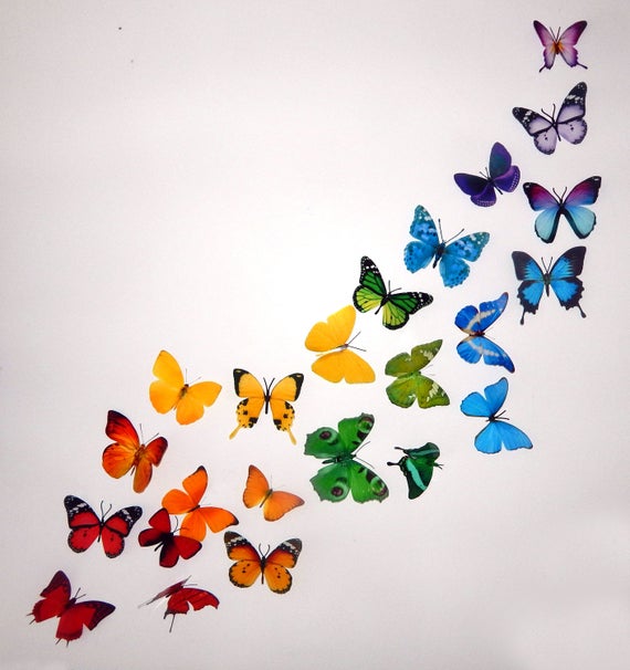 3d Butterflies the Rainbow,multi-coloured Collection, Butterfly Decor for  the Wall,conservatory, Home,bedroom, Lounge,window Decorations 