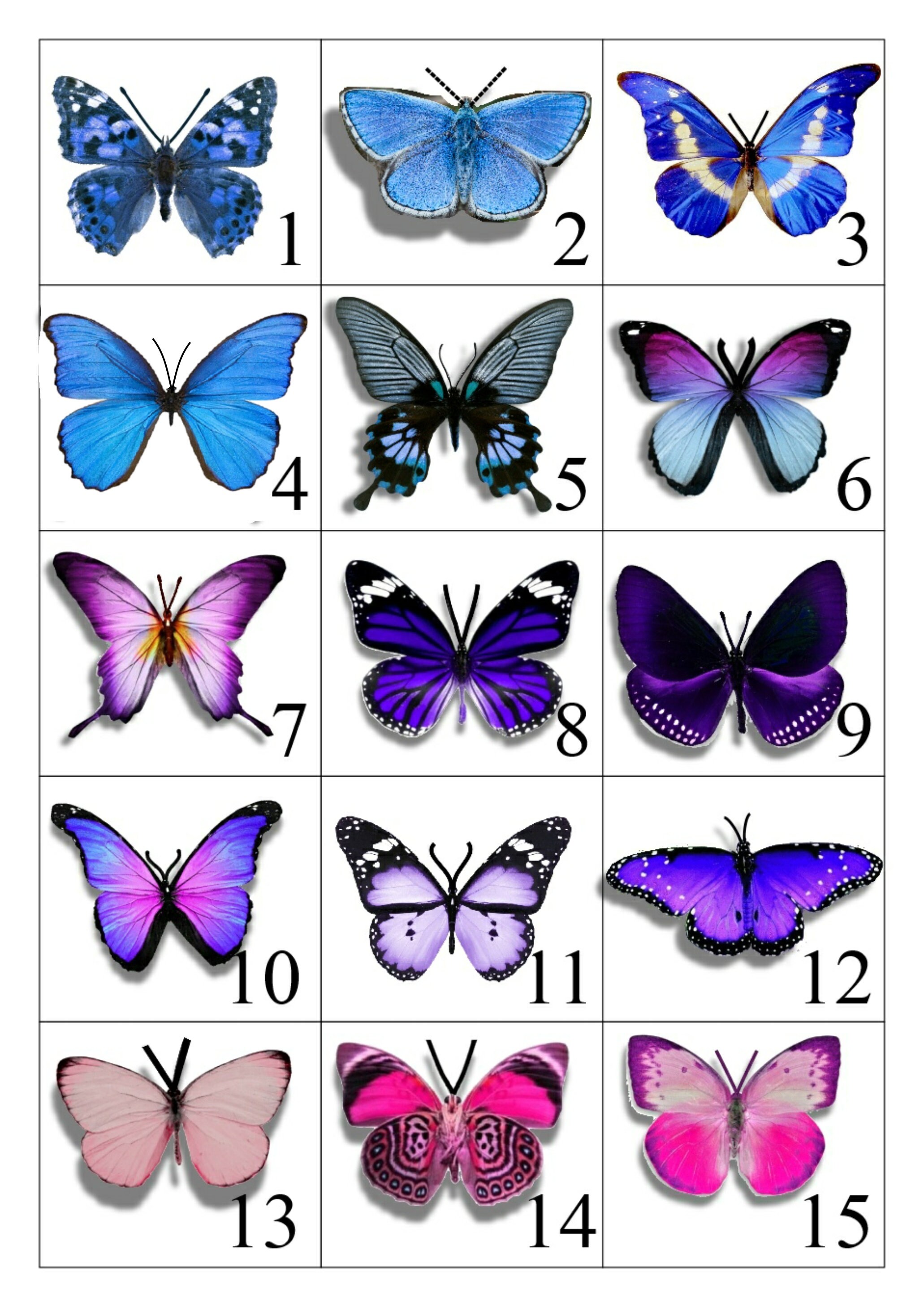 Miniature Butterflies for craft projects,decoration,embellishments,butterfly 3d stickers