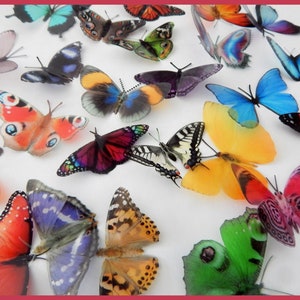 Papillons décoratifs, scrapbooking, carterie stickers muraux 3d. Coupez les vôtres ou faites-les couper pour vous. Fournitures d'artisanat, Papillons d'artisanat