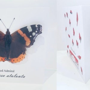 Carte de vœux papillon 3D de l'amiral rouge. Personnalisé.Fabriqué à la main.Carte papillon Red Admiral personnalisée. 40e, 50e, 60e, 70e, 80e, 90e anniversaire