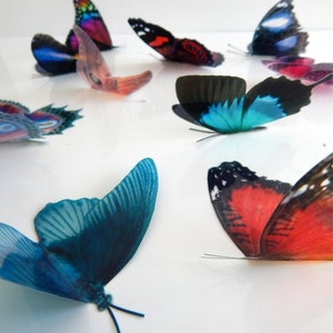 10 farfalle naturali Adesivi 3D a forma di farfalla fatti a mano, decorazioni a forma di farfalla per pareti, acchiappasole, casa, camera da letto, soggiorno, decorazioni per finestre