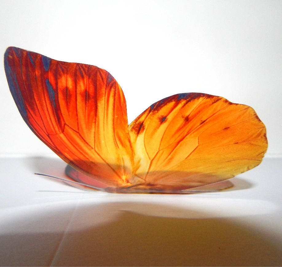 3d butterflies the Orange/Yellow collection, butterfly decor for the