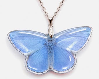 Translucent Blue Butterfly Resin Pendant, Silver Plated Chain