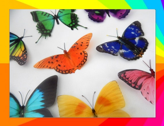 8 Bright, Colourful Butterflies From Our Colourful Collection. 3d