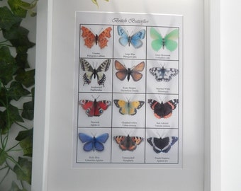 Handcrafted 3D British Butterfly Poster: Nature Lover Gift