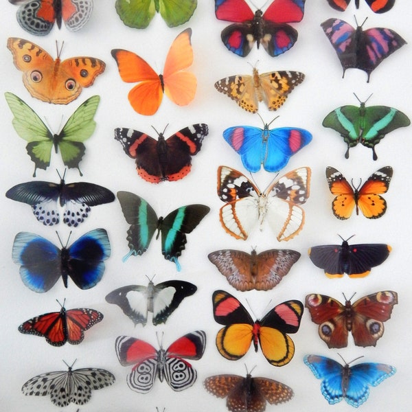 Papillons décoratifs, ensemble de papillons naturels 2, fabrication de cartes autocollants muraux 3d. Coupez les vôtres ou faites-les couper pour vous. Fournitures d'artisanat