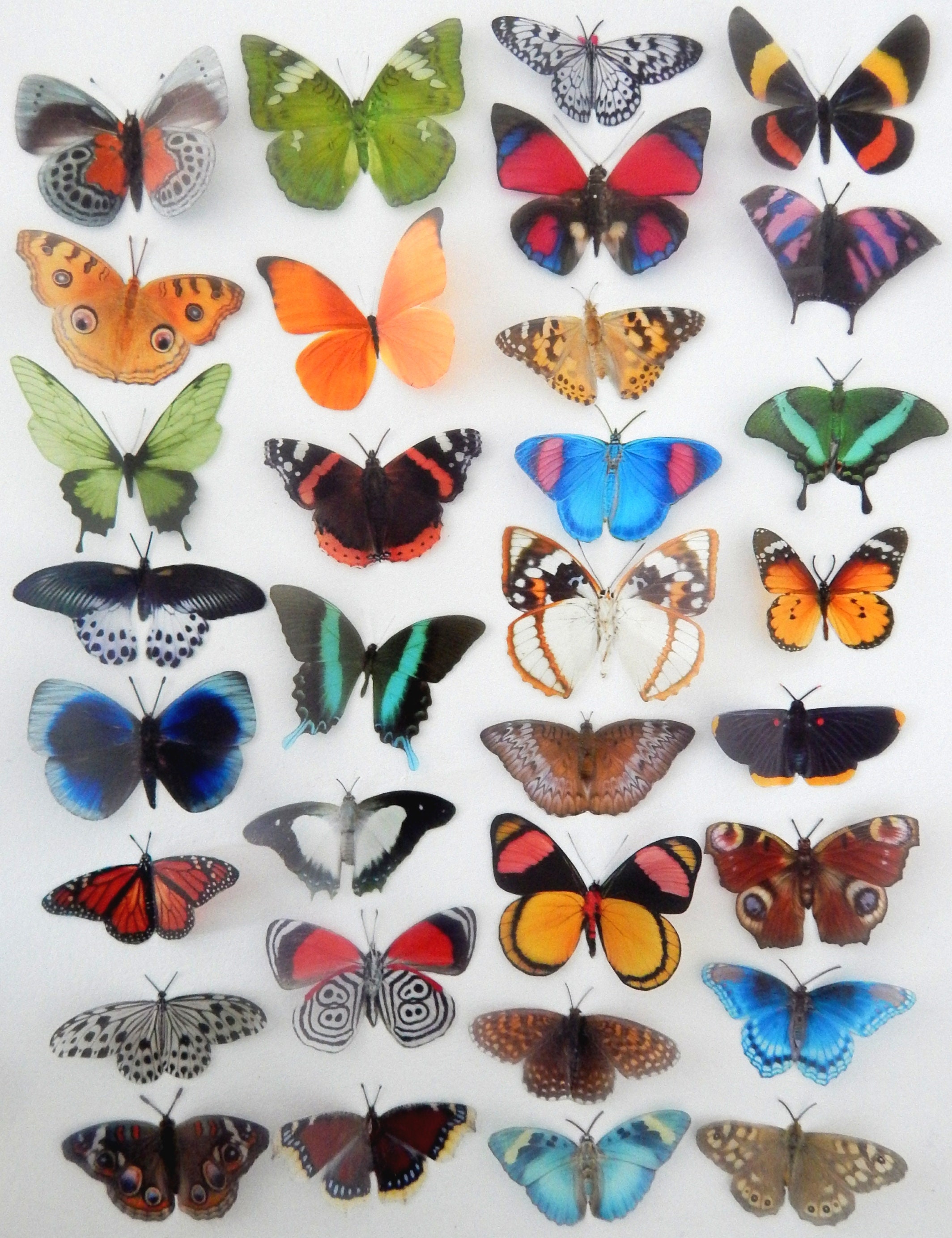 Decorative Butterflies Natural Butterflies Set 2 Card Making | Etsy