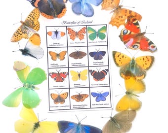 Ireland Butterfly Collection Stickers, Faux Natural Butterflies, Handmade Set of 12