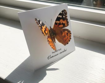 3D Painted Lady Butterfly Greeting Card, Personalized Occasion Card