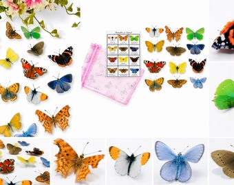 Ireland Butterfly Collection – Set of 12  Natural looking 3d Butterfly Stickers, Handmade Irish Butterfly Decor