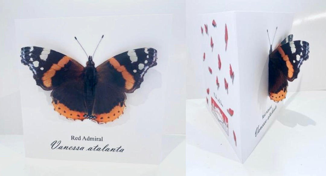 3D Red Admiral Butterfly Greeting Card, Handmade Personalized Card - Etsy