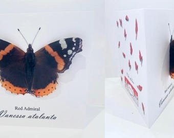 3D Red Admiral Butterfly Greeting Card, Handmade Personalized Card