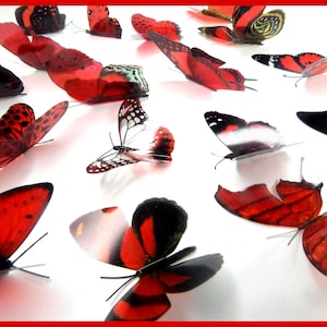 Conjunto de 17 borboletas 3D vermelhas, com 7cm de largura. Enfeites, confecção de cartões, decoração de parede, borboletas decorativas, decoração de casamento, conservatório, lounge