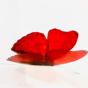 Collection de papillons rouges, lot de 12 papillons rouges du monde entier. Faux papillons naturels. Décor papillon naturel. Fait main