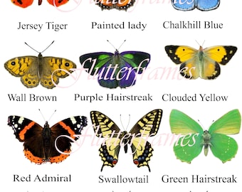 Handmade Faux European Butterfly Collection, Cake Decorations