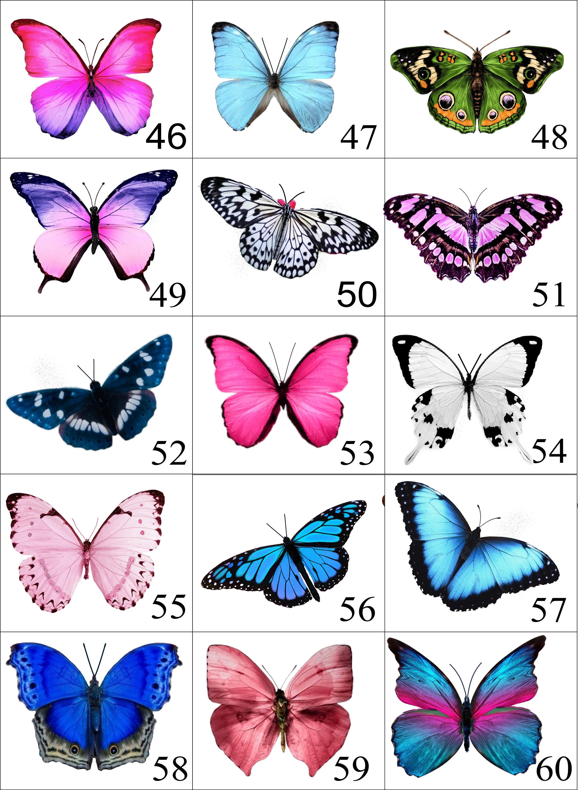 Miniature Butterflies for craft projects,decoration,embellishments,butterfly 3d stickers