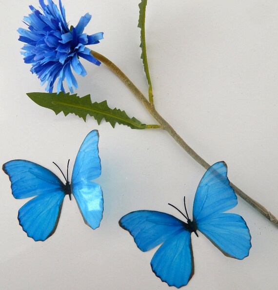 Download Natural Blue Butterfly 3d Butterfly Sticker True Blue Wall Etsy