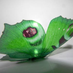 Farfalle 3d della collezione Green, decorazioni a farfalla per pareti, verande, casa, camera da letto, salotto, decorazioni per finestre, adesivi per decorazioni di vasi