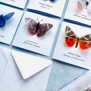 Cartes papillon 3D. Choix de 6 papillons naturels du monde entier ou achat d'un ensemble complet, à accrocher au sapin de Noël. Fabriqué à la main. Noël