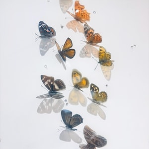 Vlindercollectie natuurlijke tinten bruin. 3D-muurstickers vlinder. Namaakvlinders. Natuurlijk vlinderdecor. Scrapbooking, kaarten maken.